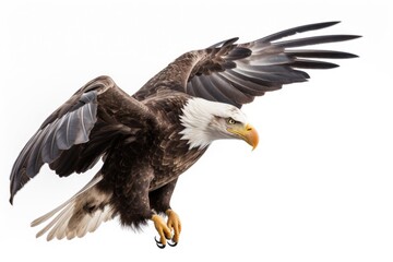 Obraz premium majestic bald eagle soaring through the sky with its wings outstretched. Generative AI