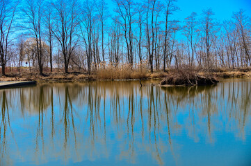 scarborough bluffs park in Spring