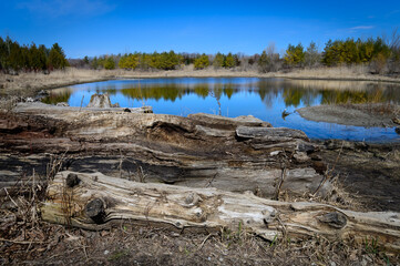 scarborough bluffs park in Spring