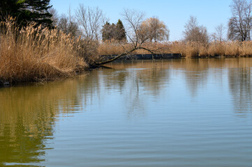 scarborough bluffs park in Spring