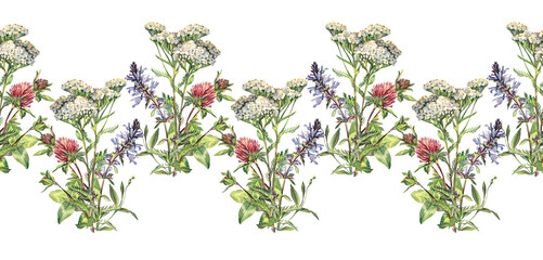Seamless rim with bouquet watercolor yarrow and lungwort and clover on white background. Wild flowers for wedding invite. Summer or spring border for sticker or wrapping. Hand-drawn art for card