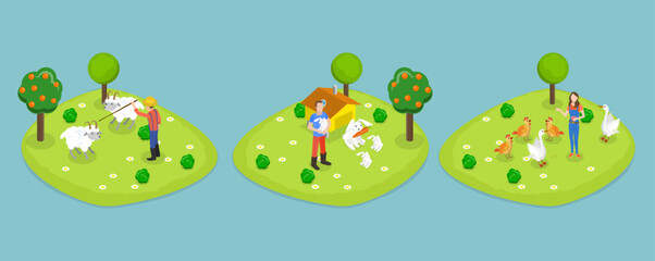 3D Isometric Flat Vector Set of Farms, Farmers are Taking Care of Sheeps, Chickens and Rabbits