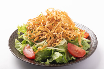 揚げごぼうサラダ