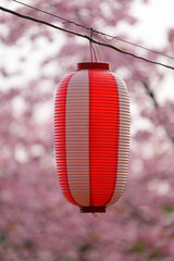 Obraz premium 霞ヶ城