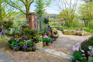 春のローザンベリー多和田　イングリッシュガーデン