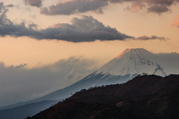 美しさはどこからでも
Beauty from anywhere
Horikiri Izu / Shizuoka
