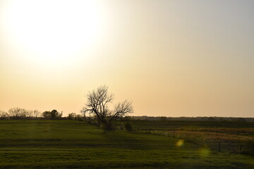 Sunset Over a Rural Farm Field