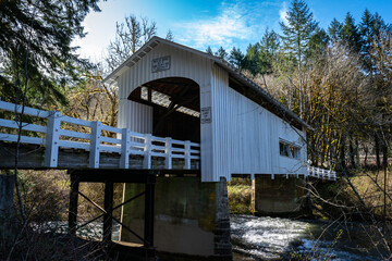 Oregon Wild Cat Covered Bridge © Steve