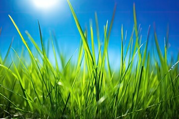 close-up view of green grass against a vivid blue sky. Generative AI