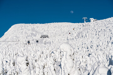 山形蔵王・樹氷