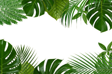 モンステラ、パームリーフなど観葉植物による背景テクスチャー