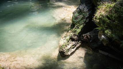 the river at the waterfall in the tropical jungle, Bohol, Philippines