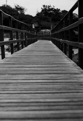 Fototapeta premium bridge