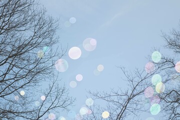 Colorful bubble orbs in blue sky on spring, summer, spirituality  - obrazy, fototapety, plakaty