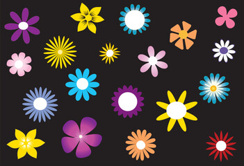Fototapeta na wymiar flowers in various colors shapes and size