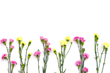 Obraz na płótnie Canvas Top view of blooming carnation flowers designed as one side frame on white background. Flat lay, copy space, top view. Pink and yellow flowers