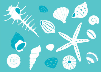 色々な貝殻のイラスト