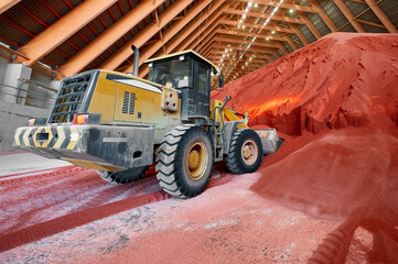 Excavator collects red potassium agricultural fertilizers