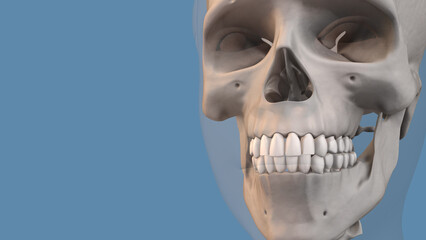 Naklejka premium Concept of dentistry and orthodontic treatment