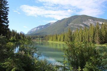 Fototapeta na wymiar Morning Along The River, Banff National Park, Alberta