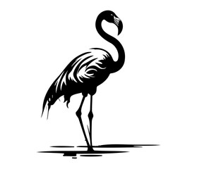 Obraz premium Flamingo, Silhouettes Flamingo SVG, black and white Flamingo vector