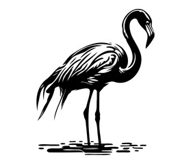 Flamingo, Silhouettes Flamingo SVG, black and white Flamingo vector