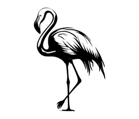 Flamingo, Silhouettes Flamingo SVG, black and white Flamingo vector