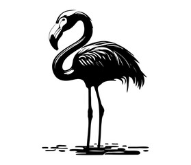 Flamingo, Silhouettes Flamingo SVG, black and white Flamingo vector