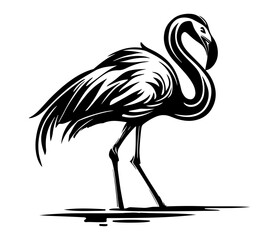 Flamingo, Silhouettes Flamingo SVG, black and white Flamingo vector