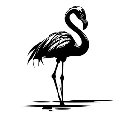 Flamingo, Silhouettes Flamingo SVG, black and white Flamingo vector