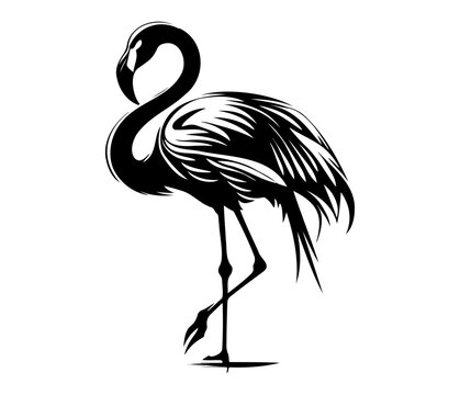 recommend clip art: Flamingo, Silhouettes Flamingo SVG, black and white Flamingo vector