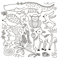 Set of  animals in cartoon style. Vector collection with mammals.