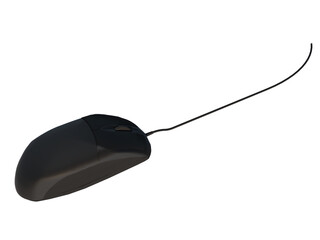 computer mouse