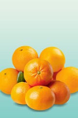 Set of citrus fruits on colored background