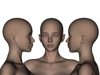 3d render. And the angle of a female bald head on a white background.