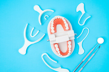 The Teeth model and instrument dental on blue background.