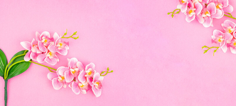 The Banner. Orchid. Two branches of an Orchid of pink color with green leaves from above.