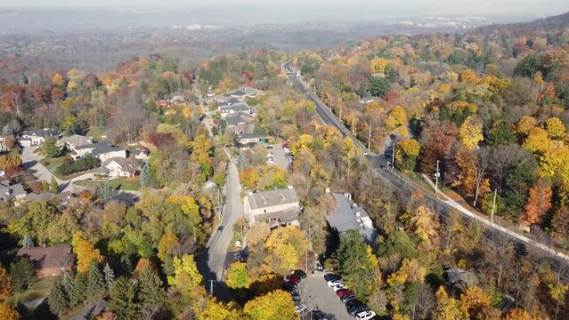 Aerial view of Niagara Glen parkway running through scenic woods in fall colors