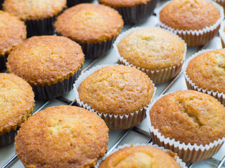 Banana cup cakes from steamy fresh oven