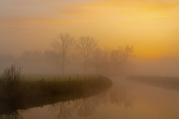 Fototapeta premium Tree in the mist at the river