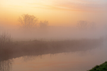 Fototapeta na wymiar Tree in the mist at the river