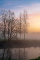 Obraz premium Tree in the mist at the river
