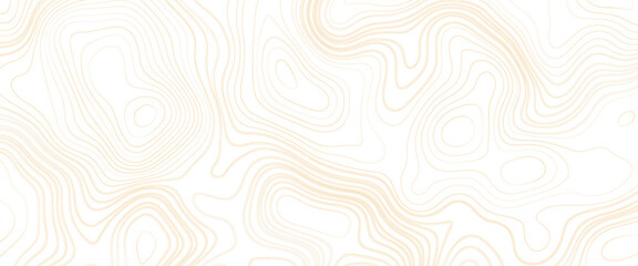 Topographic map background geographic line map with elevation assignments. Topographic map and landscape terrain texture grid. Wavy banner and color geometric form. Vector illustration.