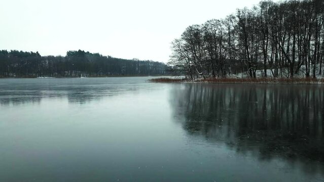 A frozen lake with a snowy forest in the background