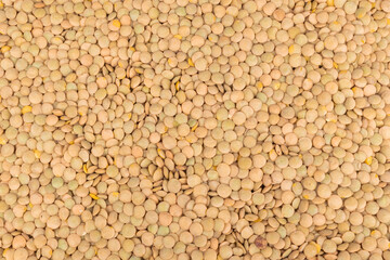 Top view brown lentil grains texture background, organic, natural and healthy food.