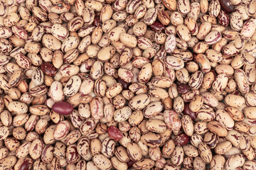 Top view light beans grains texture background, organic, natural and healthy food.