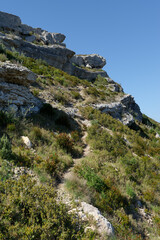 Fototapeta na wymiar Country path in the Calanques National Park in the French Riviera