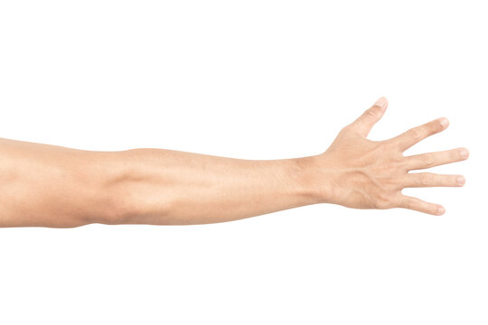 Man arm with blood veins on white background, health care and medical concept