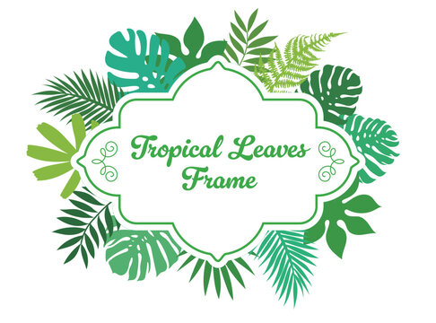 tropical leaf frame ,vector illustration