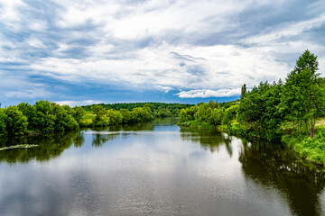 Fototapeta premium Beautiful grass swamp reed growing on shore reservoir in countryside